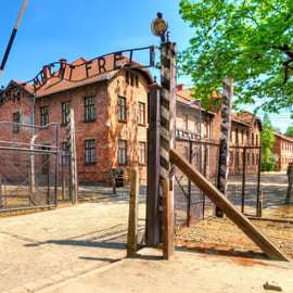 Krakau: Führung durch Auschwitz mit optionalem Mittagessen und Abholung