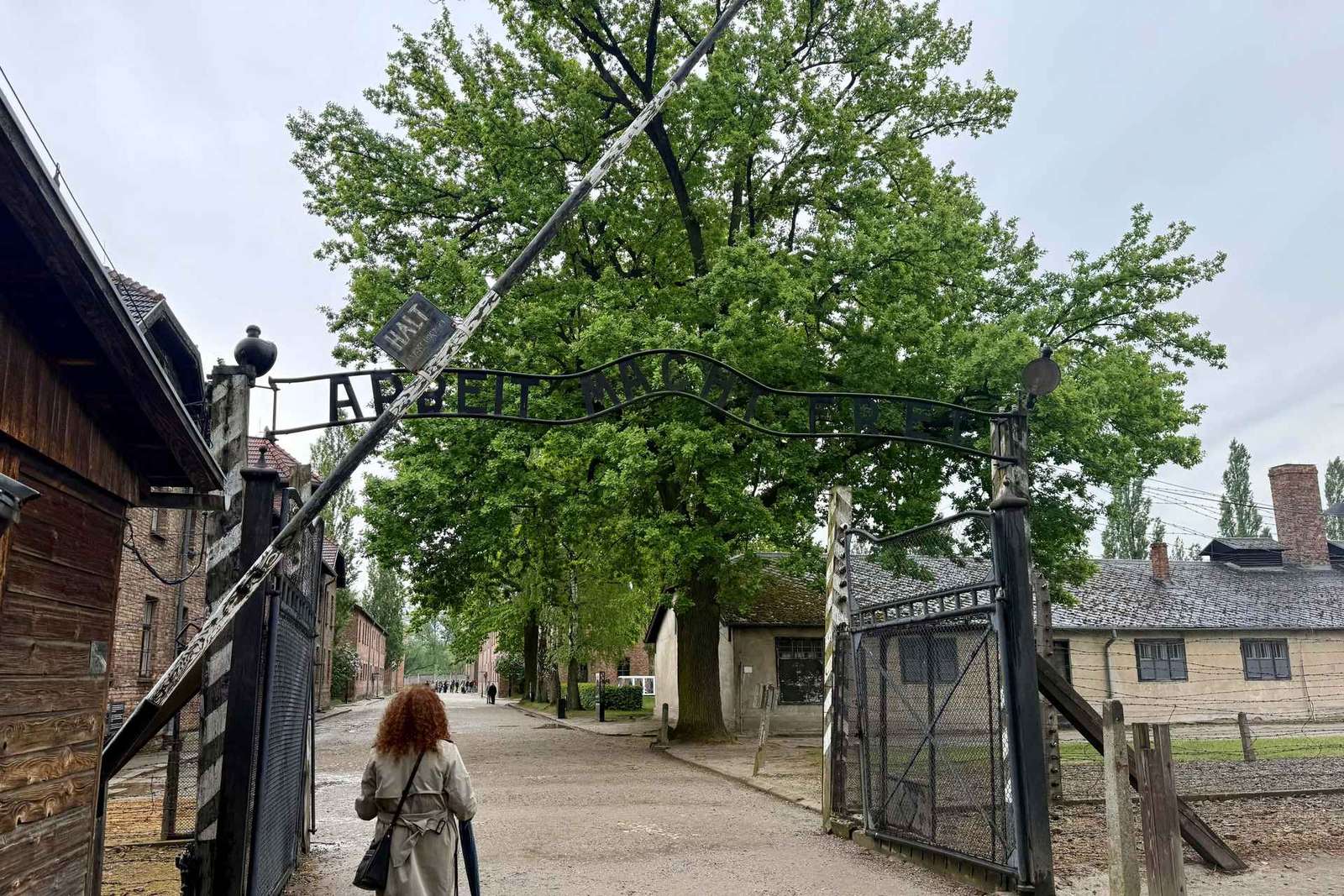 Ab Krakau: Tour nach Auschwitz-Birkenau