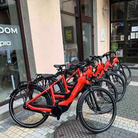 3-stündige Kleingruppentour mit dem Bosch E-Bike - Neue Fahrräder!