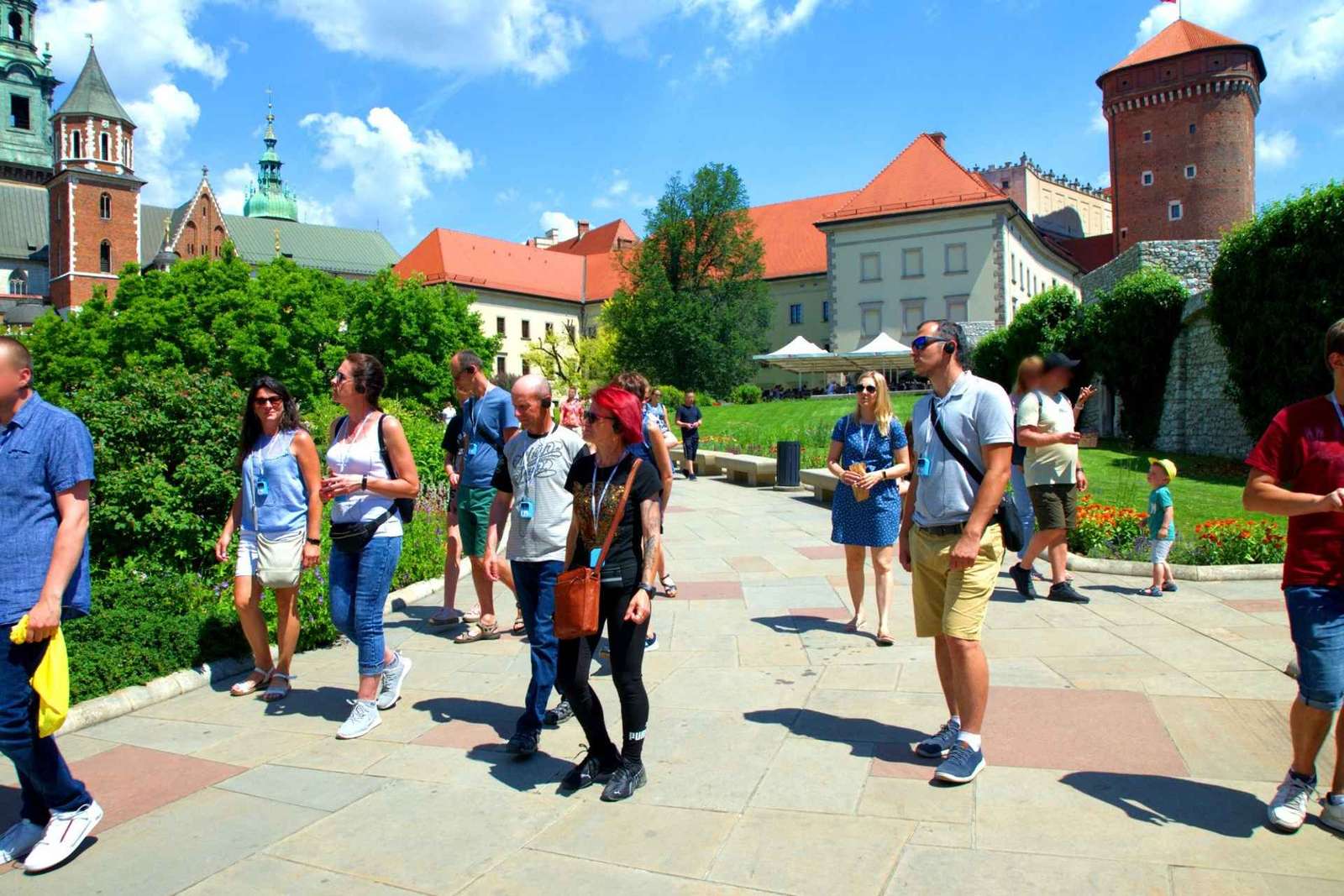 Krakau: Rondleiding Wawel Kasteel met toegangsbewijs
