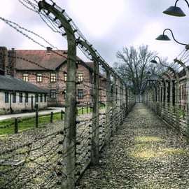 Von Krakau aus: Geführte Auschwitz-Birkenau Tour mit dem Minivan