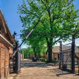 Krakau: Eintritt, Gastgeber und Transfer nach Auschwitz-Birkenau