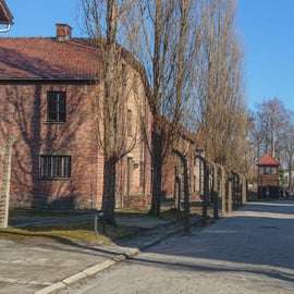 Krakau: Auschwitz-Birkenau toegangsbewijs en transfer