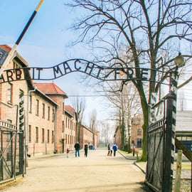 Krakau: Ganztagestour Auschwitz-Birkenau & Salzbergwerk mit Guide