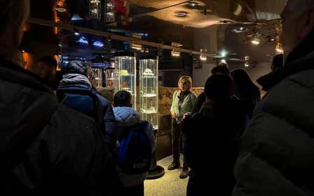 Krakau: Rynek Underground Museum Guided Tour