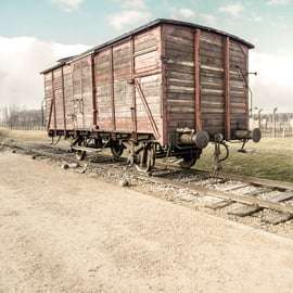 Krakau: Auschwitz-Birkenau en zoutmijn rondleiding