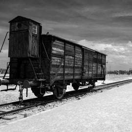 Ab Krakau: Führung durch Auschwitz-Birkenau & Hotelabholung